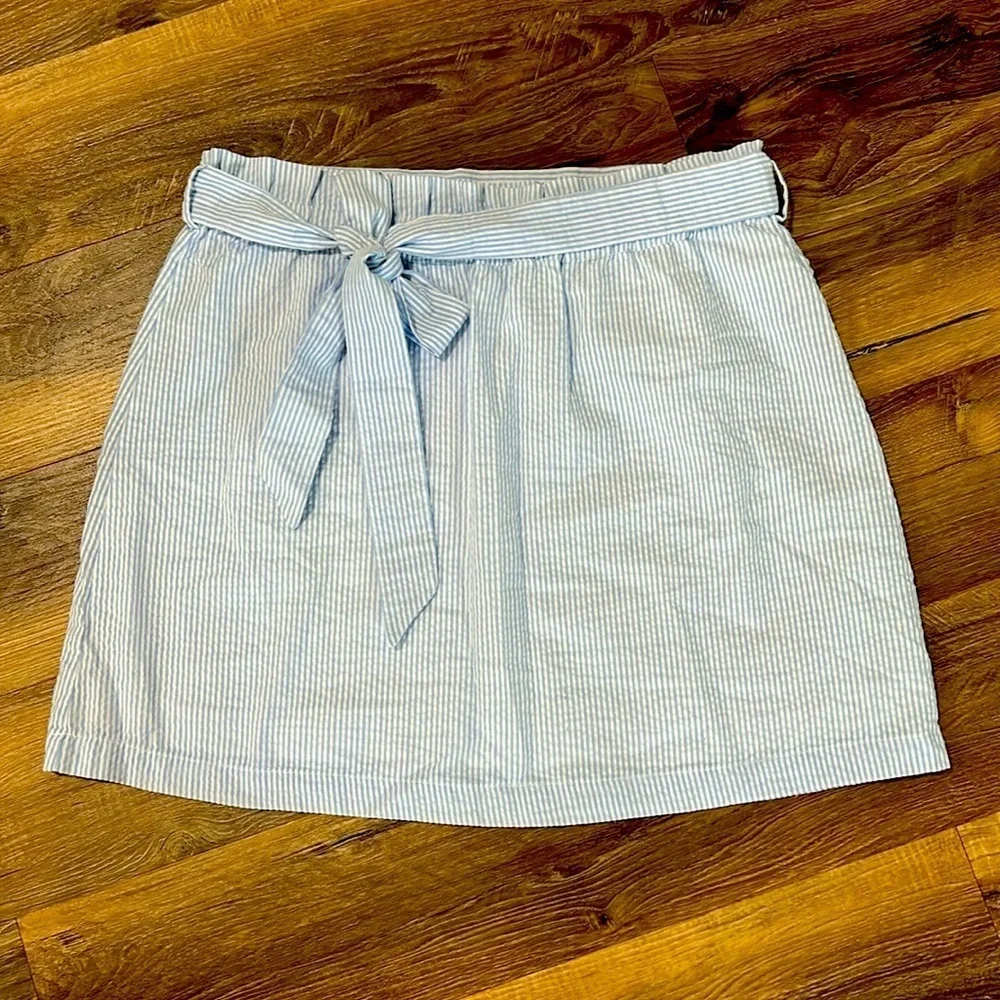 Mud Pie blue & white gingham pattern lined Skirt size medium
